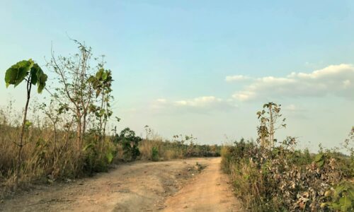 30-50ha ea huar buôn đôn, giáp Ea Mdroh.  Có bán lẻ >15ha Giá 350tr/ha